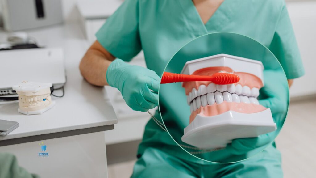 Dentist demonstrating brushing technique with a dental model.